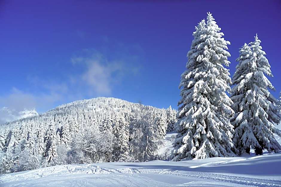 Chalet Hôtel du Bois