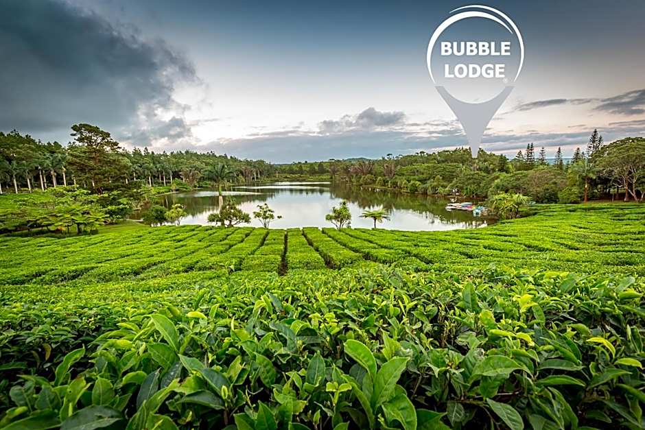 Bubble Lodge Bois Chéri Plantation