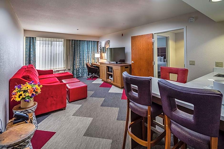Hampton Inn By Hilton San Francisco-Airport