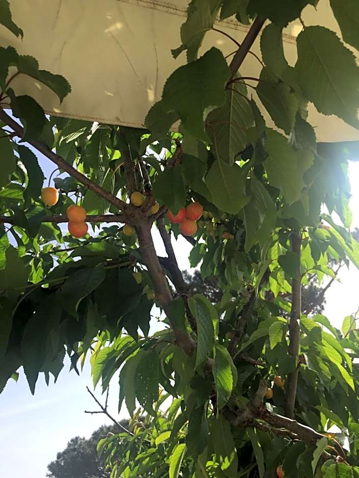 Zia Bi Bed and Breakfast