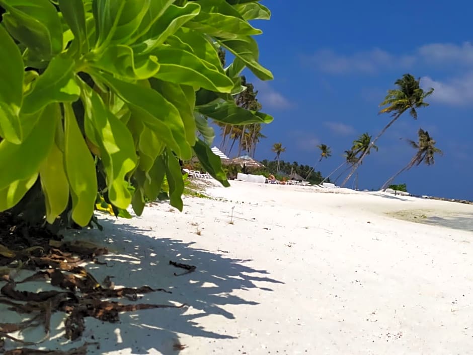 Courtyard Guesthouse