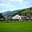 Wiesergut