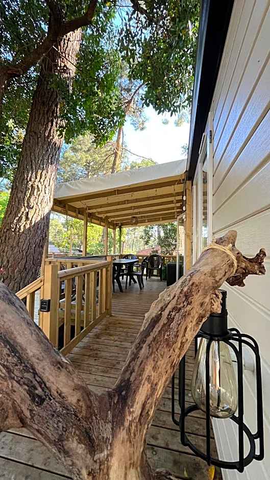 Petit Cocon au Cap Ferret Camping les Embruns