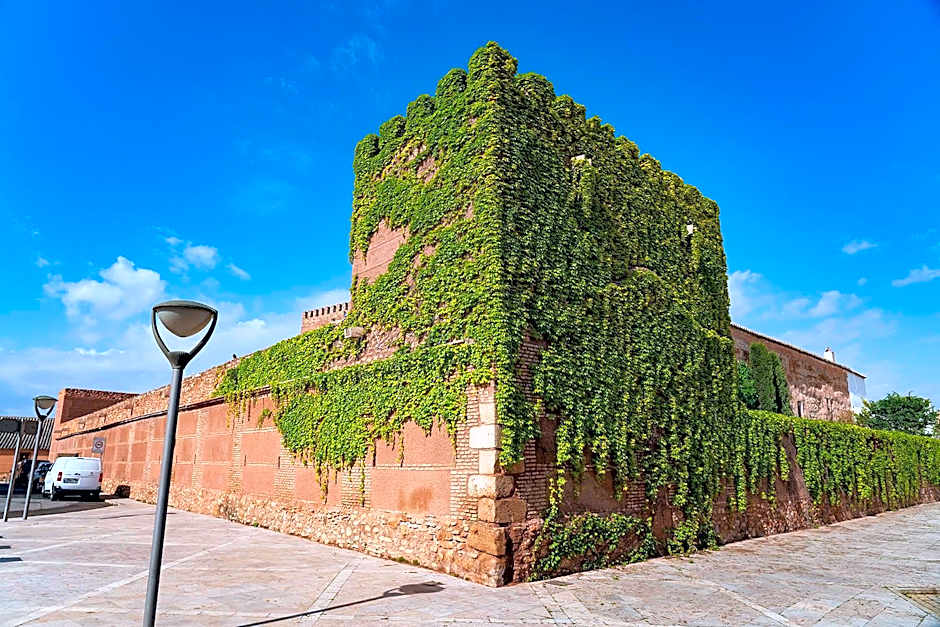 Castillo De Pilas Bonas