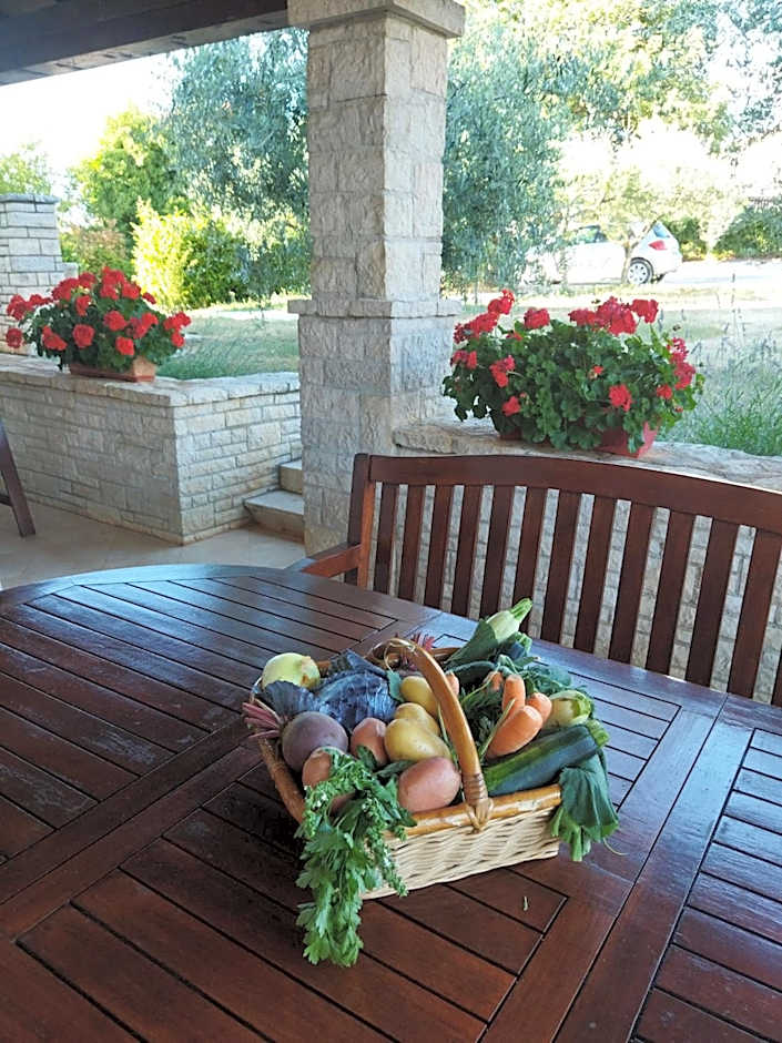 Apartments Ivan & Tina