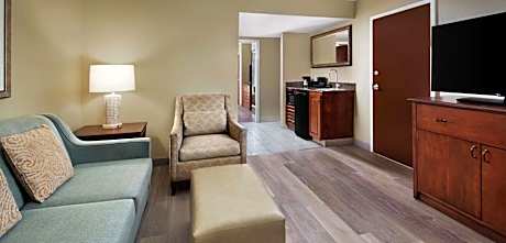 Deluxe King Suite with Water View
