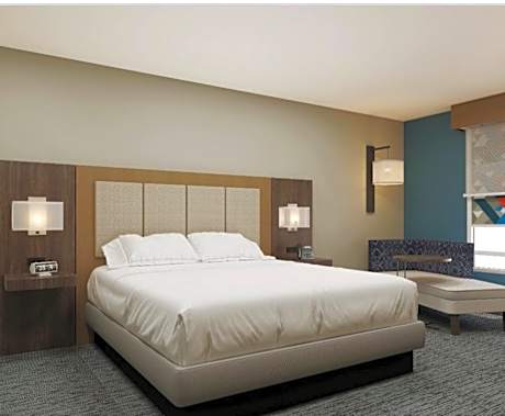 Standard King Room with Mobility Accessible Roll-In Shower