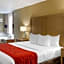Comfort Inn Marshall Station
