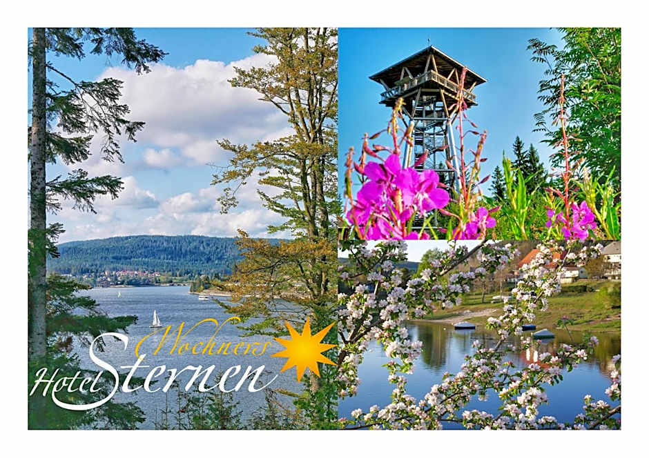 Wochner's Hotel-Sternen Am Schluchsee Hochschwarzwald