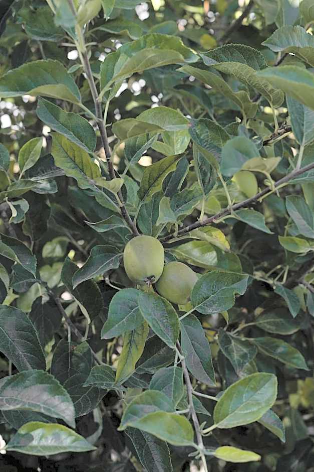 Casa Michaus Valle de Guadalupe