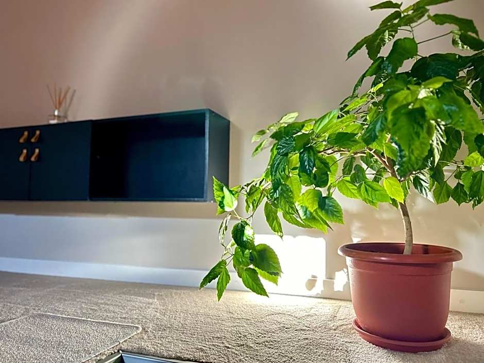 ALTiDude Ultra Central - Private Parking