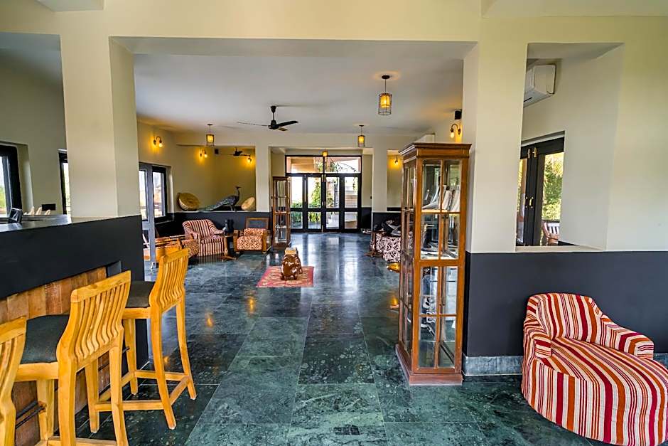 Clarks Safari Pushkar