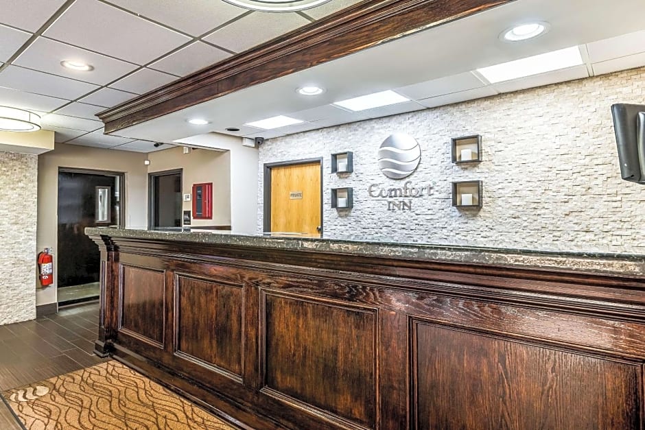 Comfort Inn Downtown Detroit