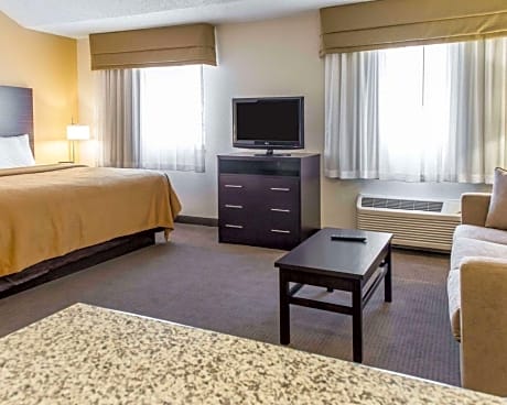 1 King Bed, Suite, Nonsmoking