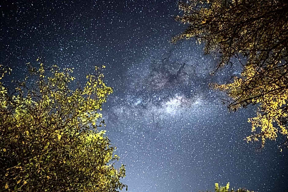 AA Lodge Maasai Mara