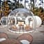 Les Bulles De Bordeaux