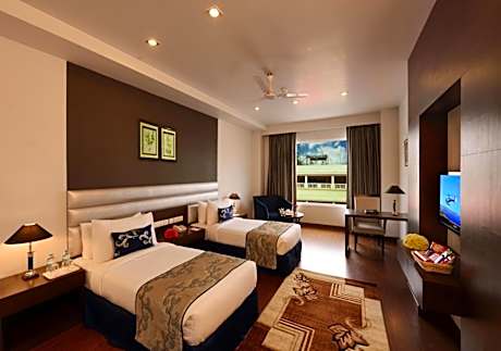Executive Double Room