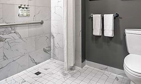 Accessible - 1 Queen Mobility Accessible Roll In Shower Murphy Bed Only Non-Smoking