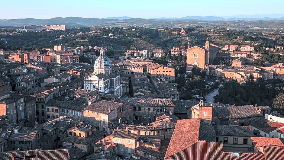 Rinidia Siena Celso Cittadini Grande