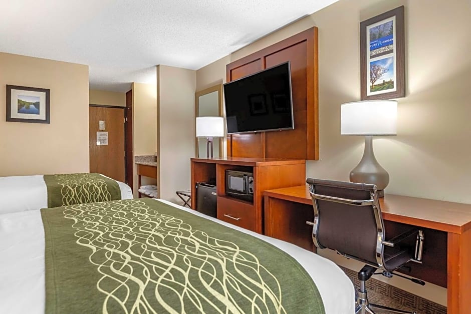 Comfort Inn & Suites Dimondale