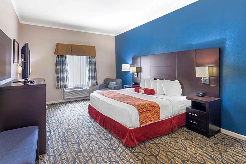 Best Western Spring Hill Inn & Suites