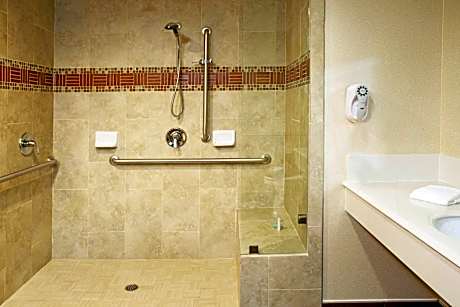 Suite - Mobility Access/Non-Smoking