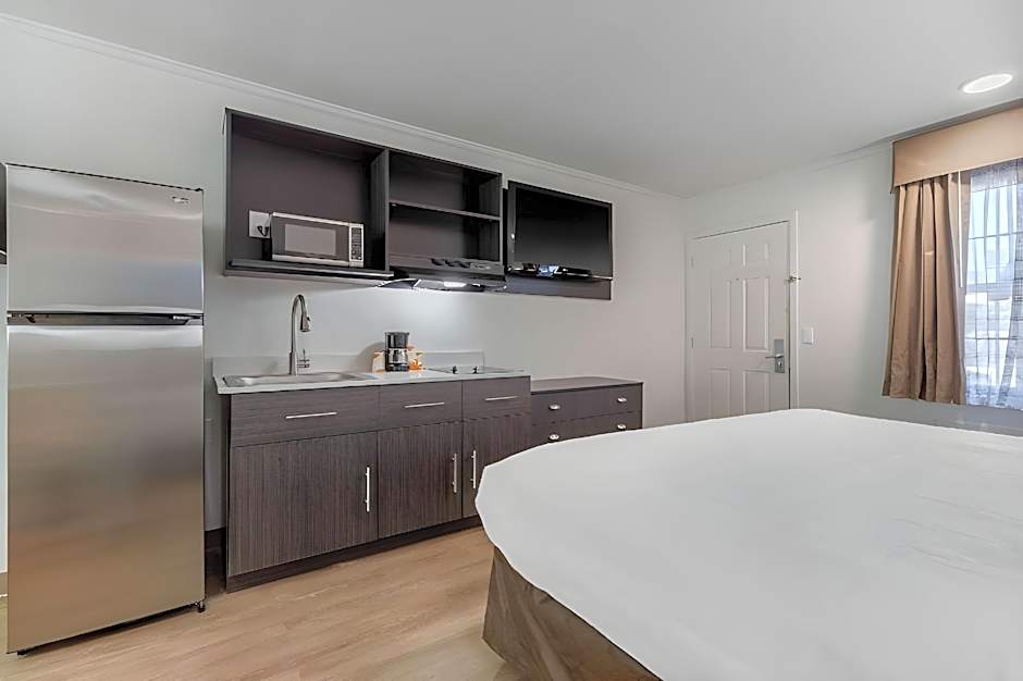 Suburban Studios at the University