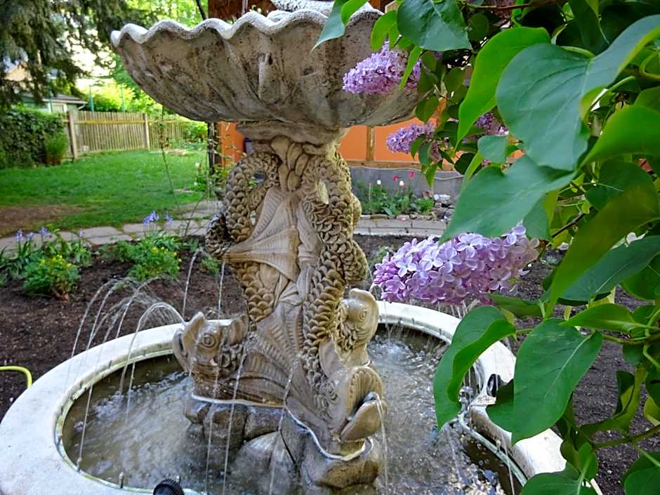 Hummel Hostel - Historische Stadtvilla mit Garten