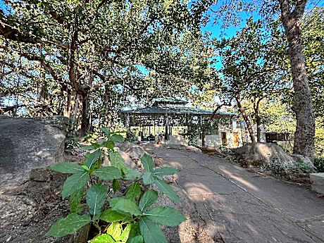 Bison Retreat - Pench