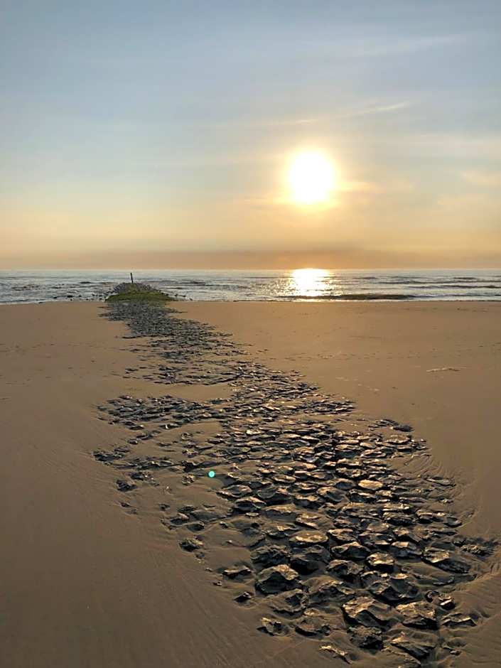 Hoeve te Gast - vakantieboerderij