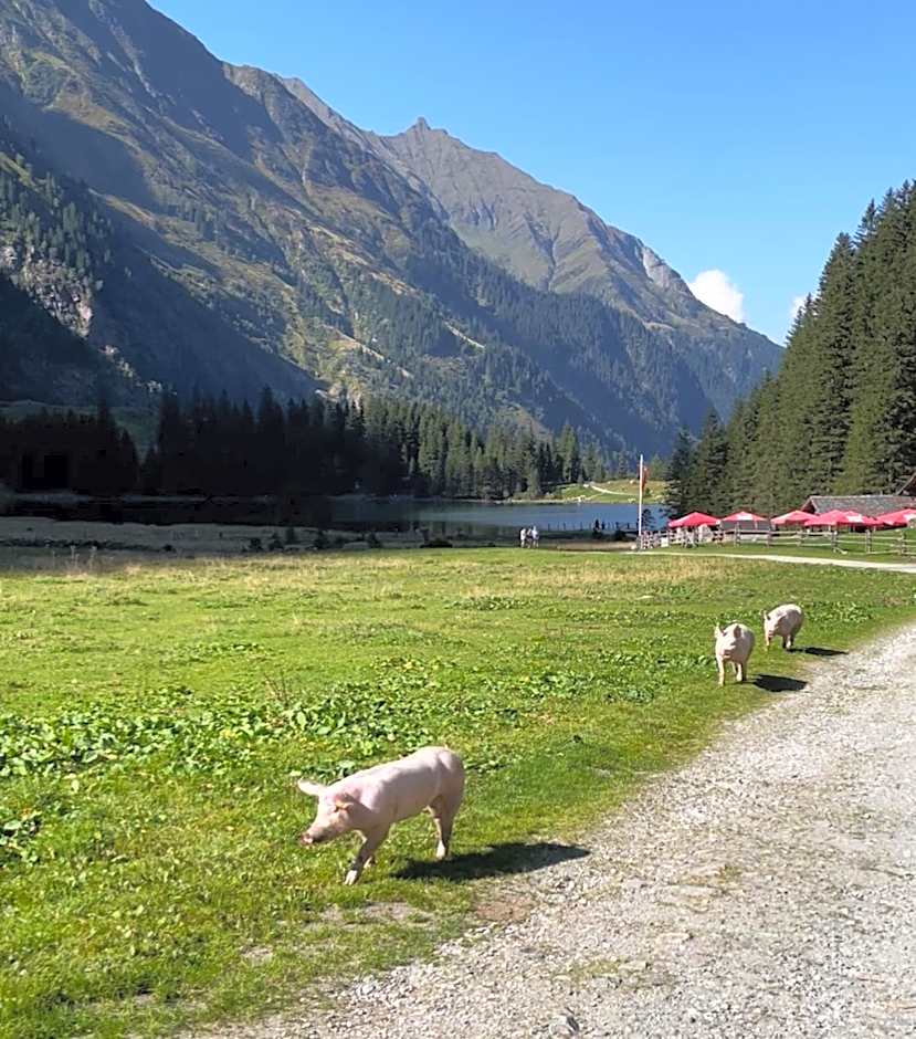 Hotel in the HEART of the Alps