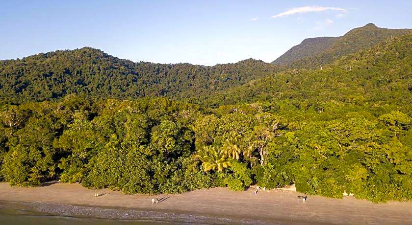 Cape Tribulation Beach House