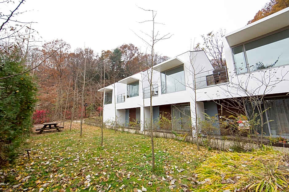 Healience Village