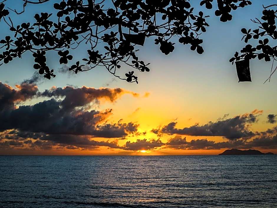 Marlin Waters Beachfront Apartments