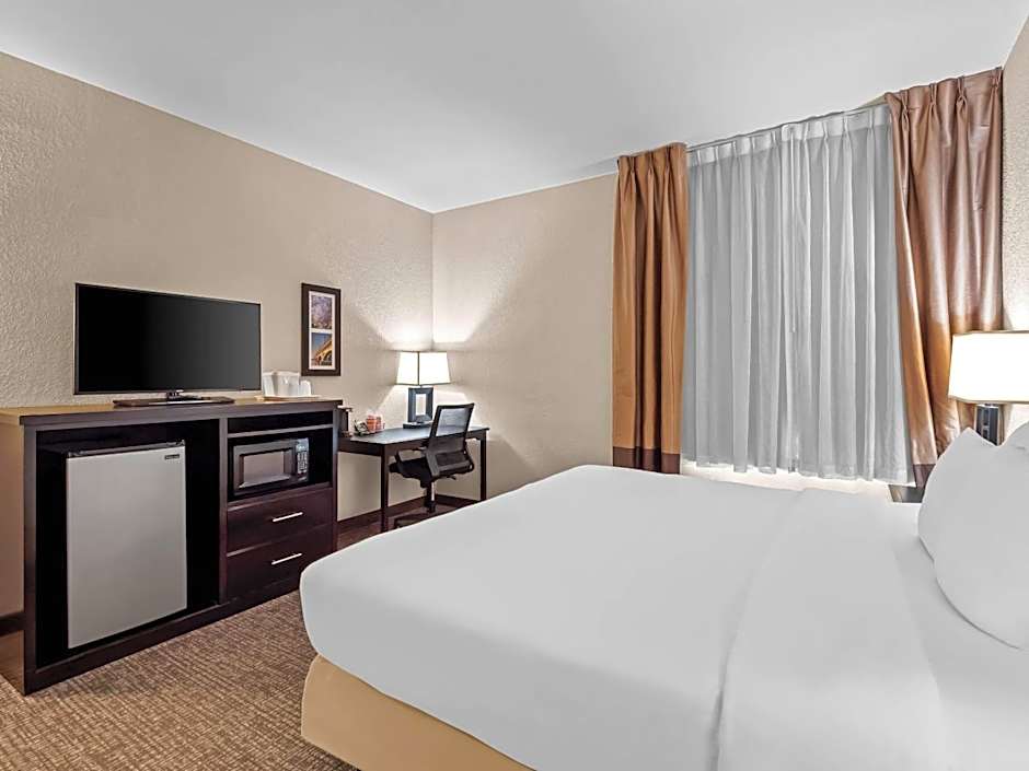 Comfort Inn & Suites Allen Park - Dearborn