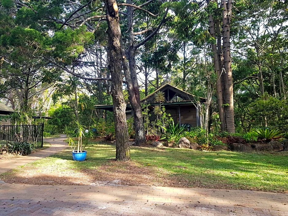 Byron Bay Rainforest Resort