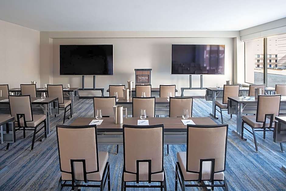 The Westin Houston Medical Center/Museum District