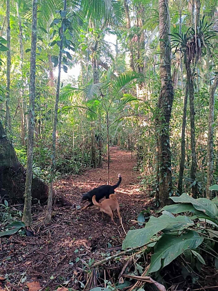 Brisa da Mata Ecolodges