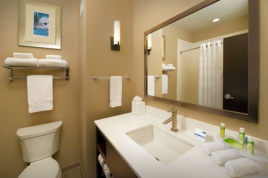 Holiday Inn Express Hotel & Suites Waco South