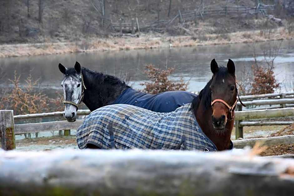 Hotel Hospodářský dvůr Bohuslavice