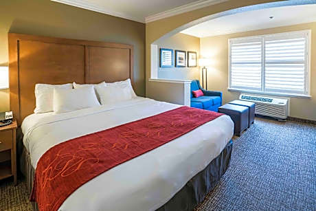1 King Bed Suite, Non-Smoking