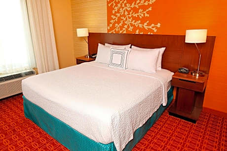 Room, 1 King Bed