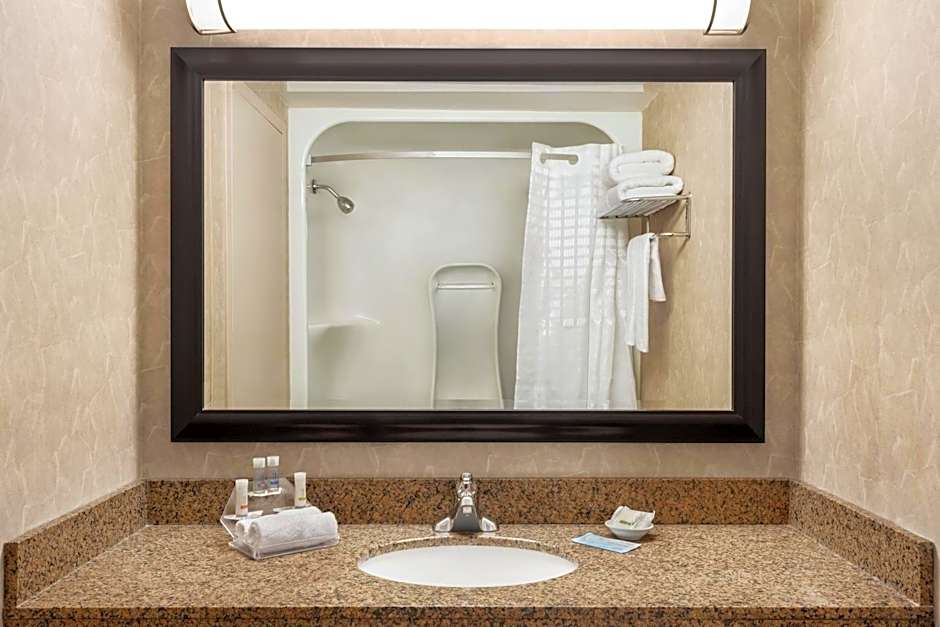 Royal Hotel West Edmonton, Trademark Collection by Wyndham