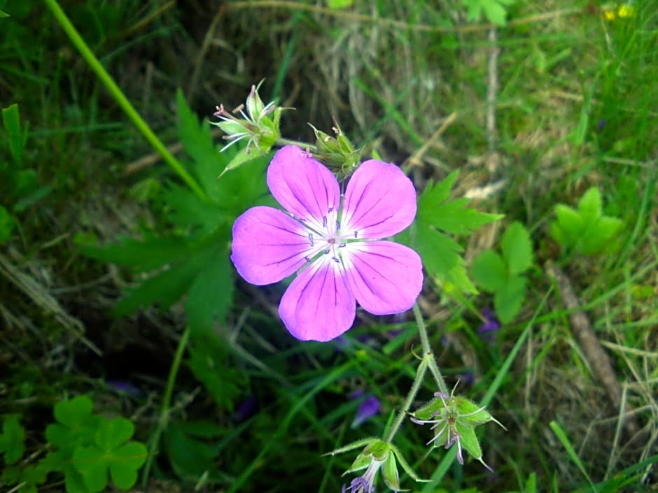 Le Temps d'une Pause