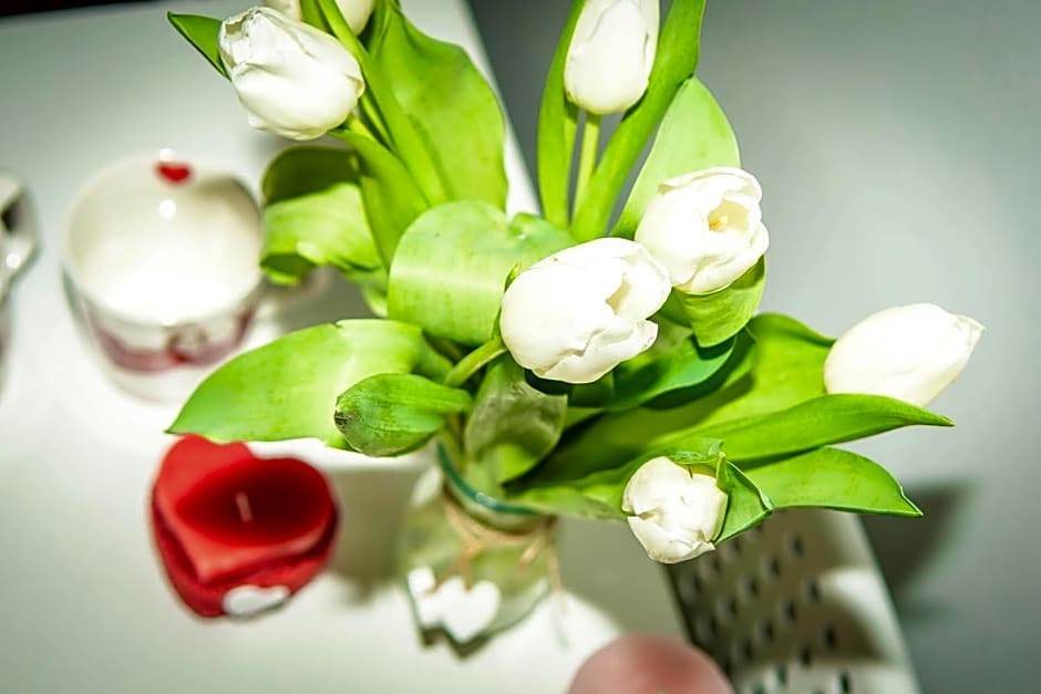 Natalia Rest domki & camp