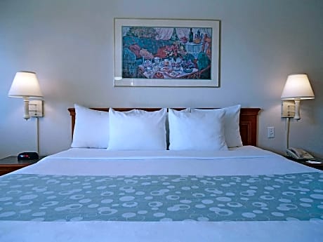 1 King Bed Mobility Accessible Room Non-Smoking