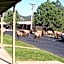 Quality Inn near Rocky Mountain National Park