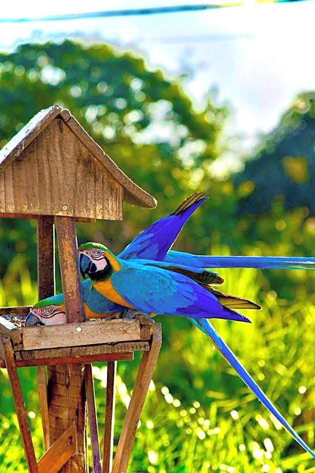 Mangabeiras - Casa de Hóspedes