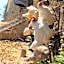 Domaine des Aloets