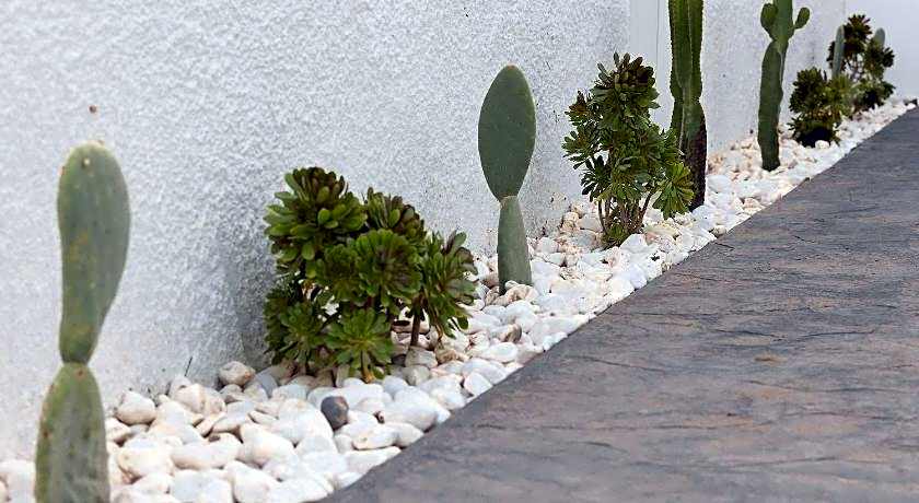 The Nine Graces - Agios Prokopios